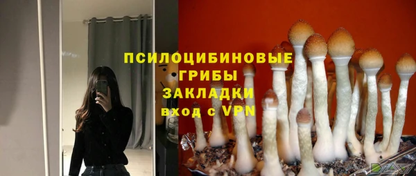 мескалин Майский