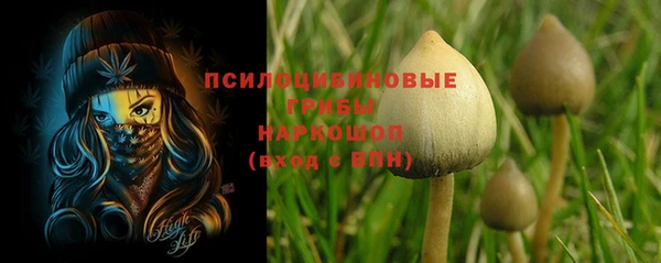 ПСИЛОЦИБИНОВЫЕ ГРИБЫ Медногорск