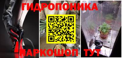 спиды Заводоуковск