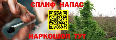 спиды Заводоуковск