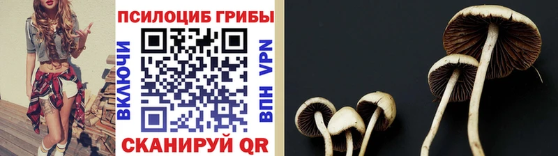 Галлюциногенные грибы Cubensis  Миллерово 
