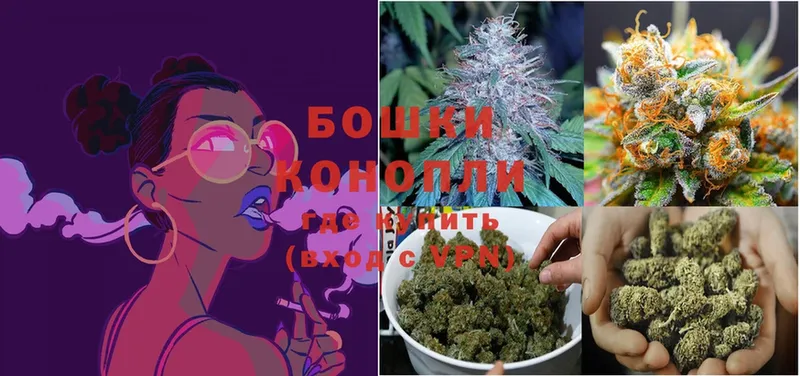 Конопля SATIVA & INDICA  Миллерово 