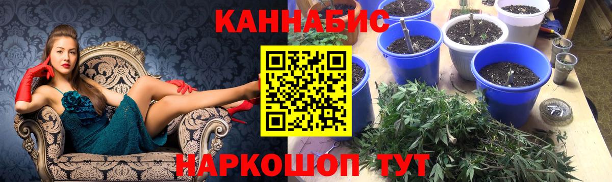 МАРИХУАНА план  Вход с VPN  Шишки марихуана индика  Миллерово 